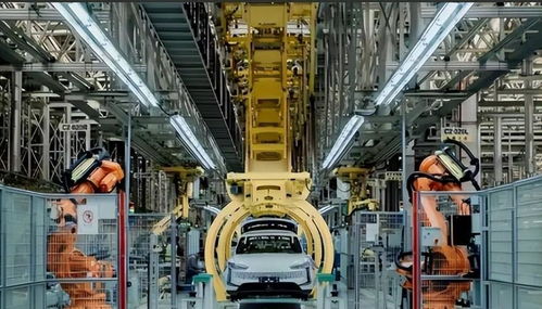 人民日?qǐng)?bào)敲響反擊戰(zhàn)鐘聲，華春瑩在美主場(chǎng)出手狙擊耶倫，重慶技術(shù)服務(wù)彰顯國(guó)家實(shí)力